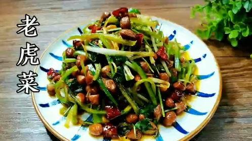 今日吃瓜51老虎菜,探寻美食背后的故事